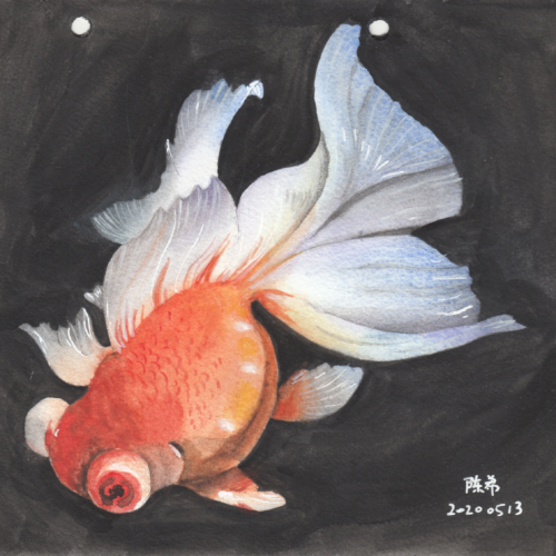 watercolor,水彩,贝大大