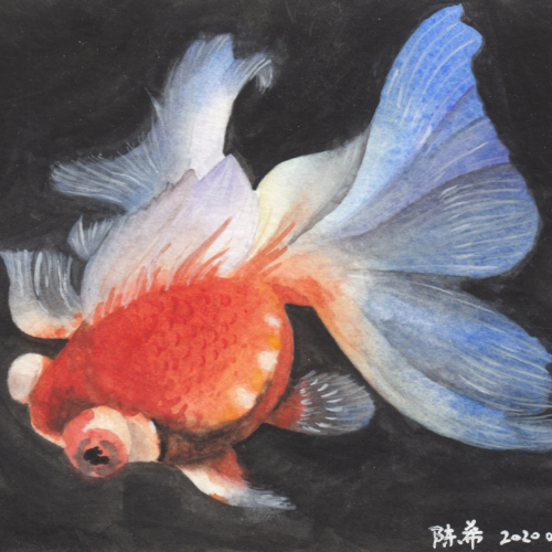 watercolor,水彩,贝大大