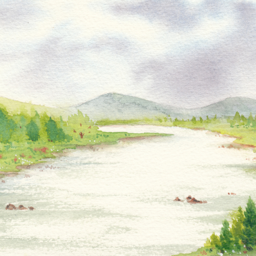 watercolor,水彩,飞乐鸟