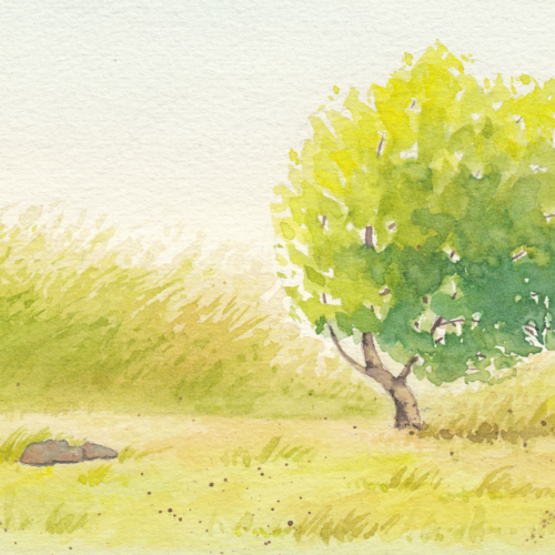 watercolor,水彩,飞乐鸟