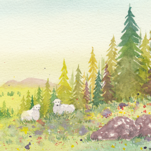 watercolor,水彩,飞乐鸟