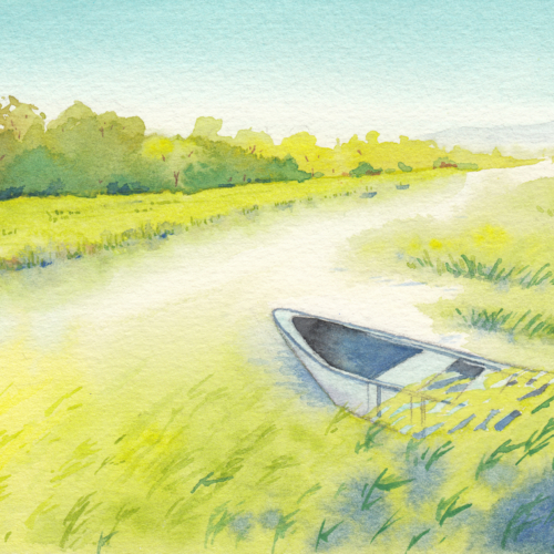 watercolor,水彩,飞乐鸟