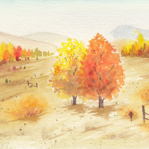 watercolor,水彩,飞乐鸟