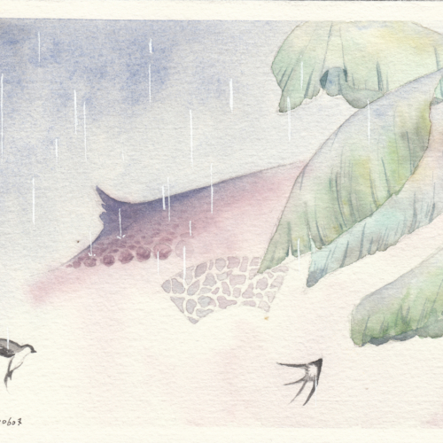 watercolor,水彩,飞乐鸟