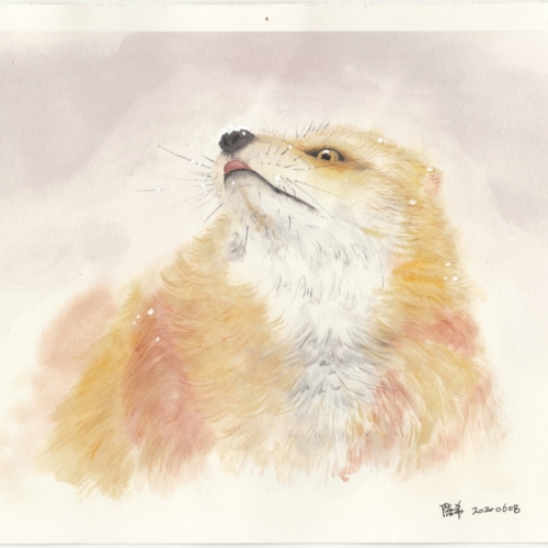 watercolor,水彩