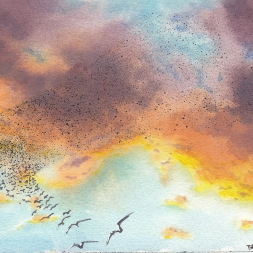 watercolor,水彩