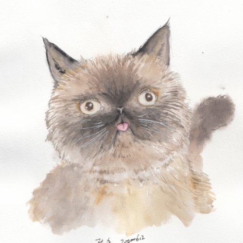 watercolor,水彩
