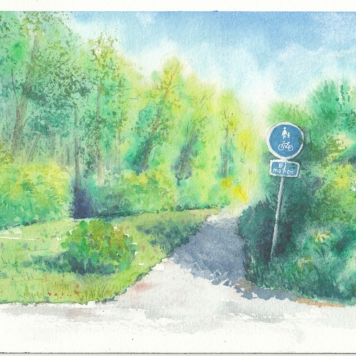 watercolor, 水彩