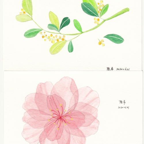 watercolor,水彩,飞乐鸟