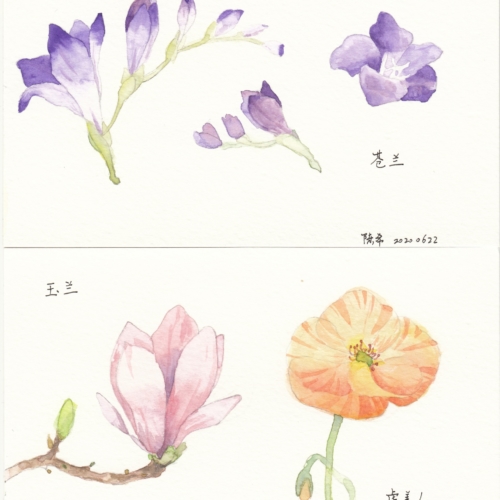watercolor,水彩,飞乐鸟