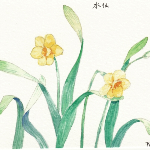 watercolor,水彩,飞乐鸟