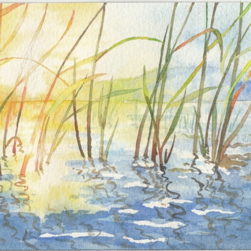 watercolor,水彩,飞乐鸟