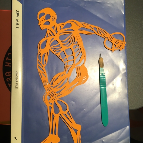 Chinese paper-cut,剪纸