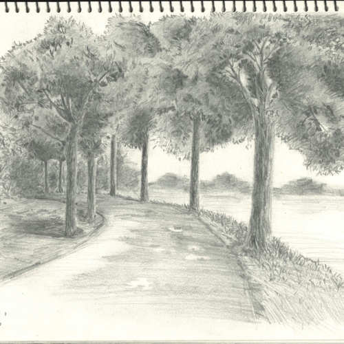 sketch, 素描,速写