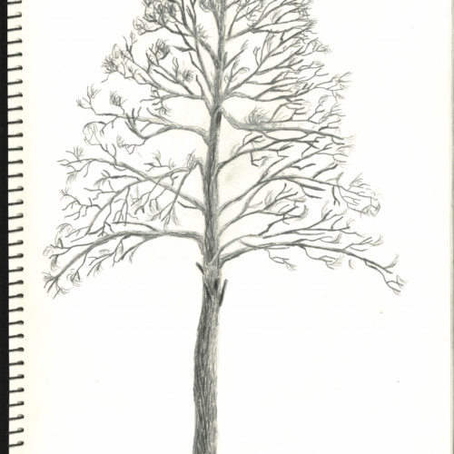 sketch, 素描,速写