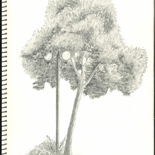 sketch, 素描,速写