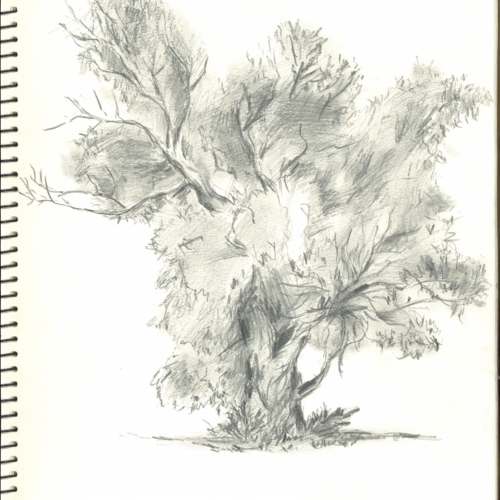 sketch, 素描,速写