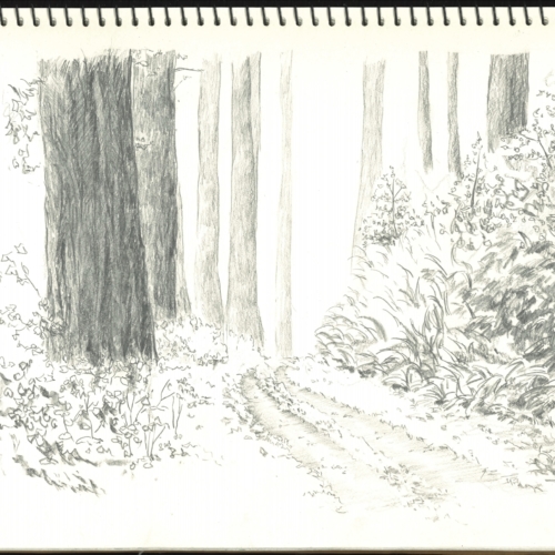 sketch, 素描,速写