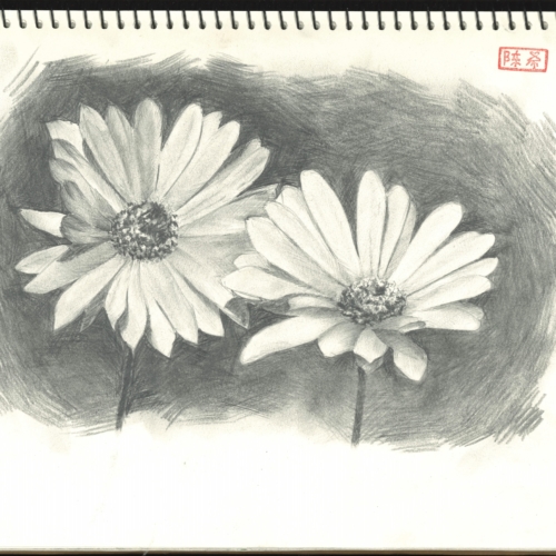 sketch, 素描,速写