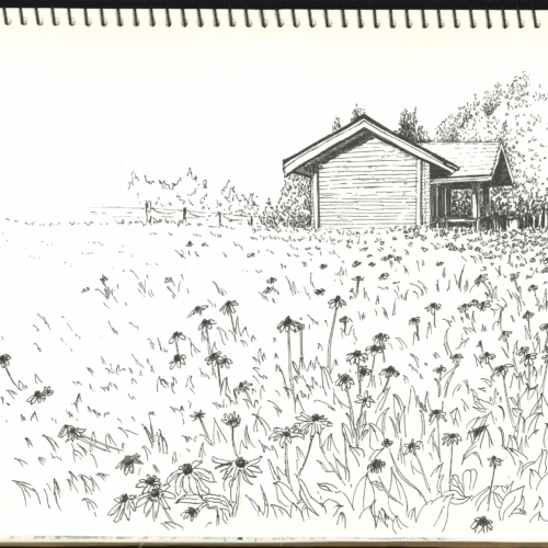 sketch, 素描,速写