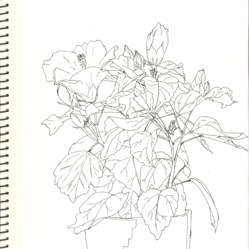 sketch, 素描,速写
