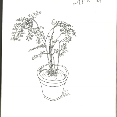 sketch, 素描,速写