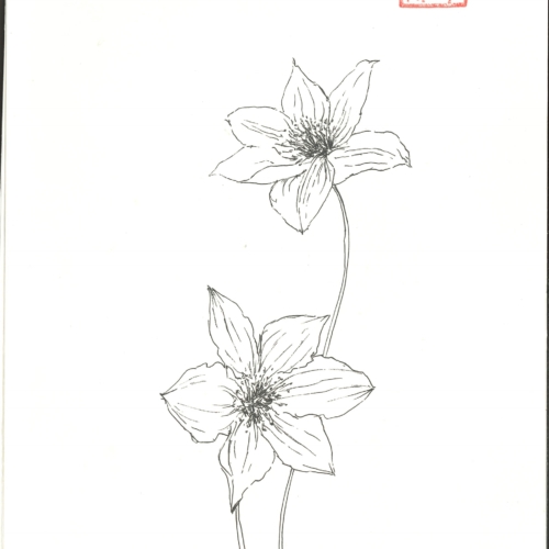 sketch, 素描,速写