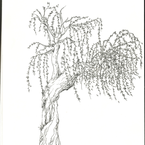 sketch, 素描,速写