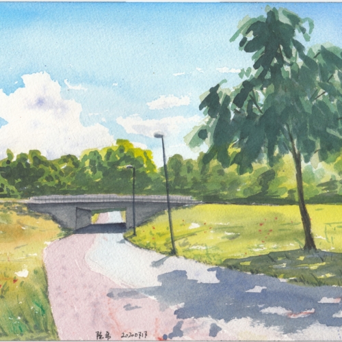 watercolor,水彩